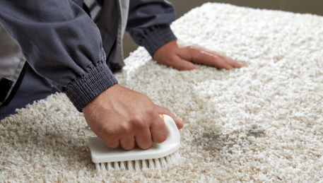 Professional Rug Cleaning Soldiers Hill