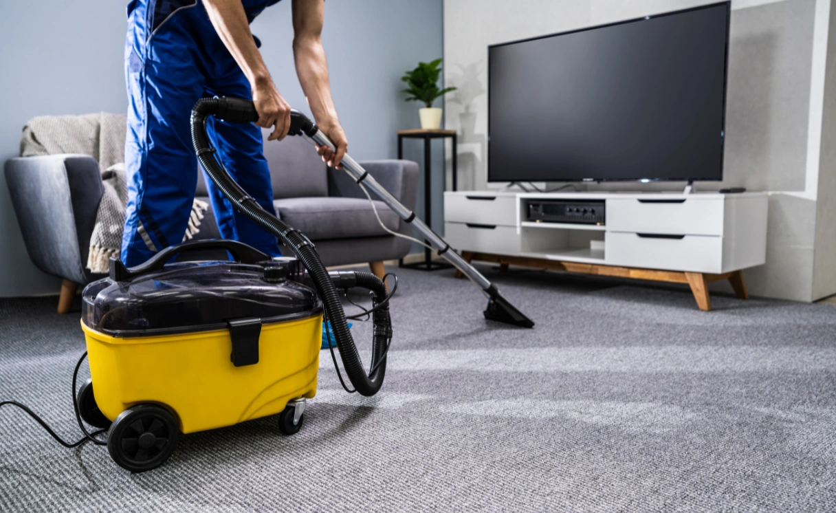 Extract Rug Cleaning Soldiers Hill Contact Office